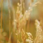 Guest Post: Flashlights Lights up Your Way to Safety