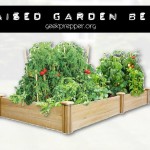 Raised Garden Beds