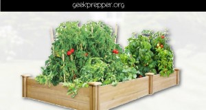 raised garden beds