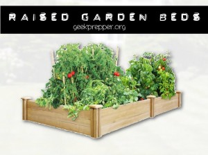 raised garden beds
