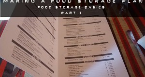 making a food storage plan
