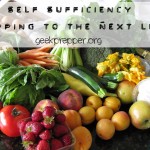 Self Sufficiency – Prepping to the Next Level