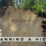 Tanning a Hide in Your Free Time