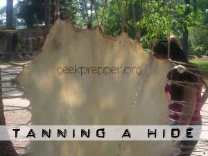 tanning a hide