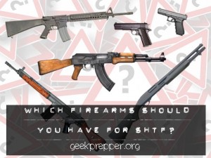 which firearms should you have for SHTF