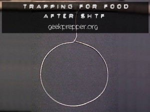 Trapping for Food After SHTF