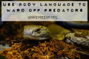 body language to ward off predators
