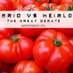 Hybrid Seeds vs Heirloom Seeds – The great debate