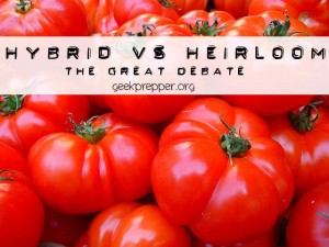 Hybrid Seeds vs Heirloom Seeds