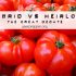 hybrid vs heirloom seeds
