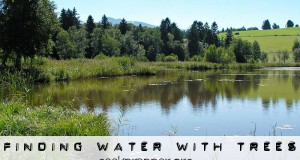 finding water with trees