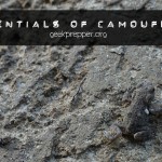 Essentials of Camouflage