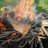 firepit 07082013