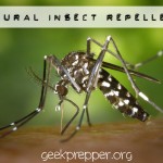 Natural Insect Repellents