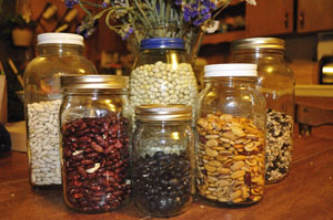 Seed Saving It's a Good Thing