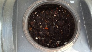 Organic Waste after a quick tumble!