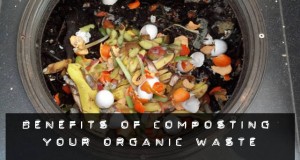 benefits of composting your organic waste