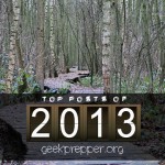Top Posts of 2013