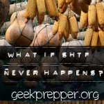 What if SHTF Never Happens?