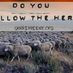 Do You Follow the Herd?