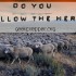 do you follow the herd
