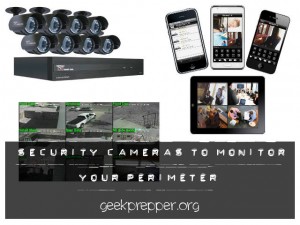 security cameras to monitor your perimeter