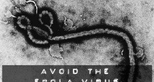 avoid the ebola virus