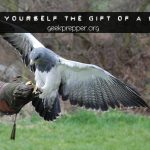 Give Yourself the Gift of a Skill