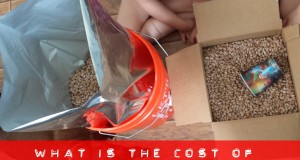 what is the cost of 5 gallons of beans or rice