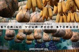 storing your food storage