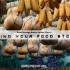 storing your food storage