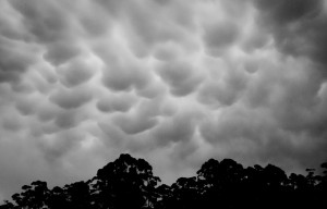 mammatus clouds