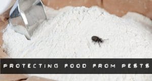 protecting food from pests
