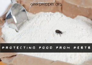 protecting food from pests