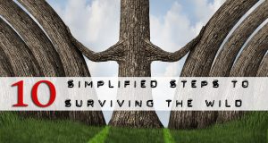 10 wilderness survival steps