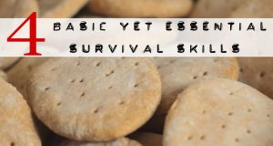 basic essential survival skills